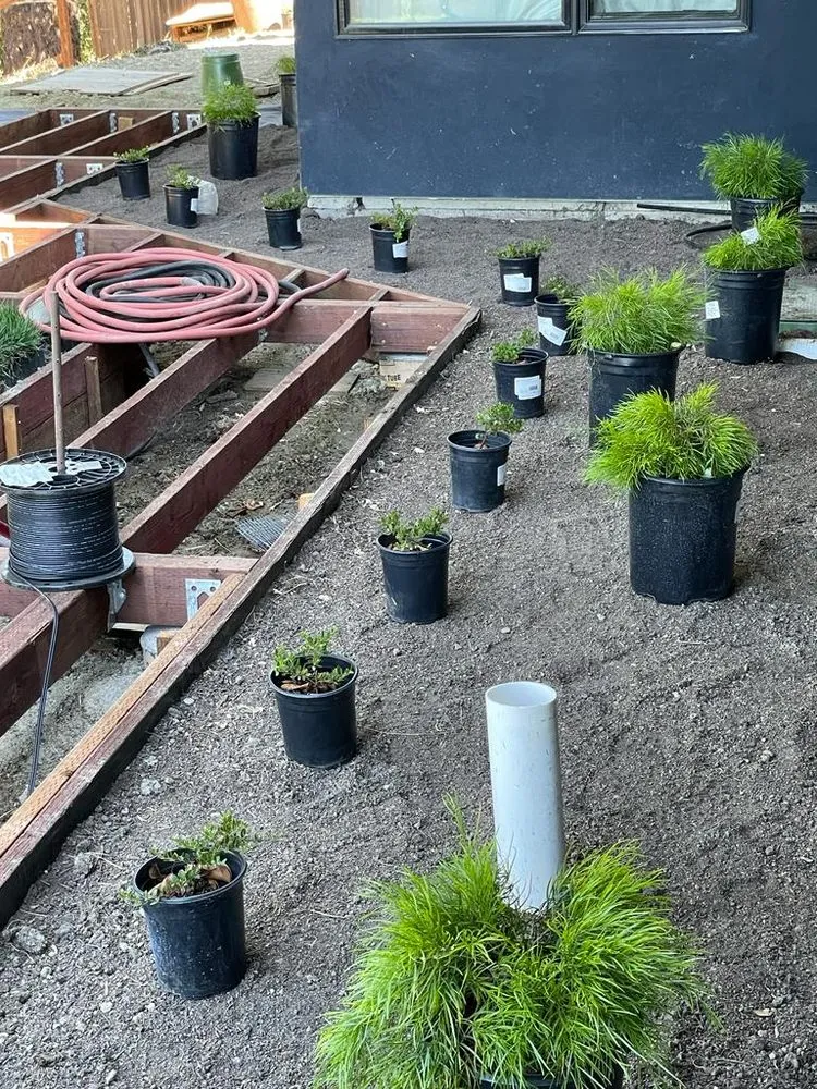 Top-rated yard maintenance in Richmond, CA by Francisco Landscaping & Gardening