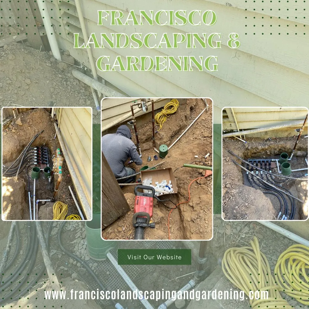 Affordable outdoor landscaping in Richmond, CA - Francisco Landscaping & Gardening
