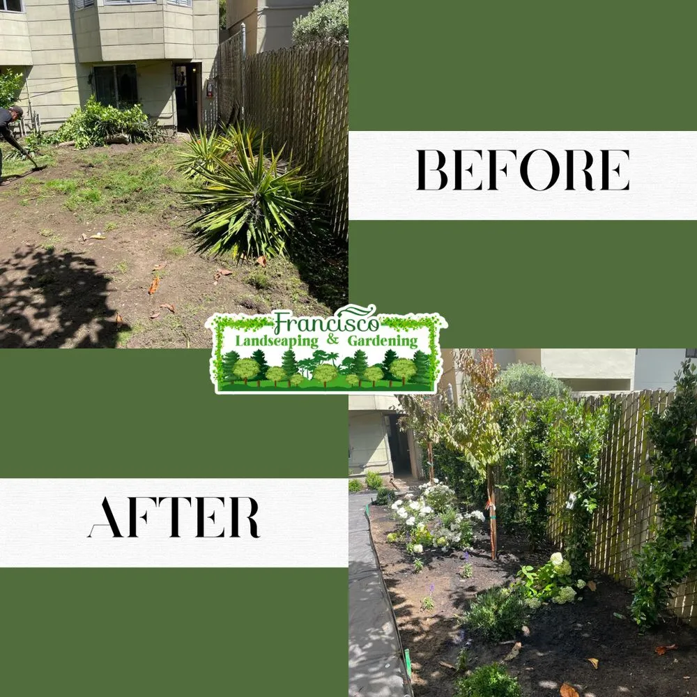 Expert yard cleanup service in Richmond, CA - Francisco Landscaping & Gardening