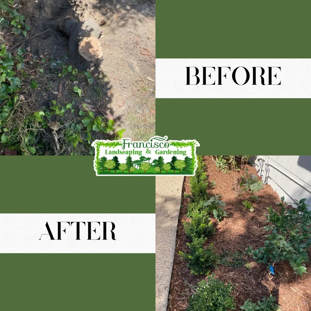 Top-rated outdoor landscaping near you in Richmond, CA by Francisco Landscaping & Gardening