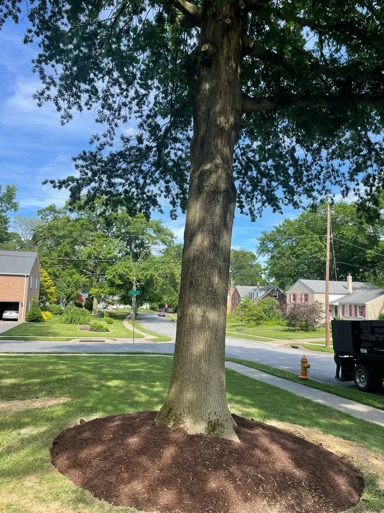 Trusted outdoor landscaping in Claymont, DE by Francisco Landscaping & Hardscaping