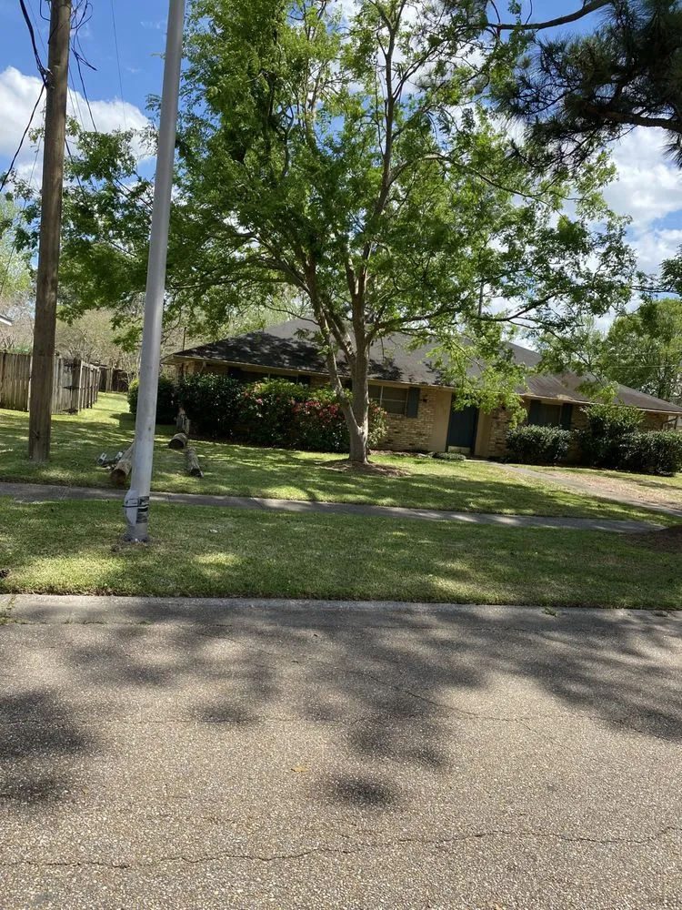 Affordable garden landscaping for year-round maintenance across Baton Rouge, LA - Francisco Landscaping