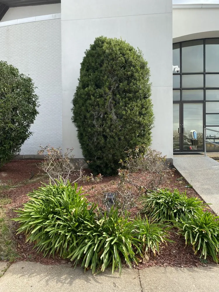 Expert residential landscaping experts serving Baton Rouge, LA - Francisco Landscaping