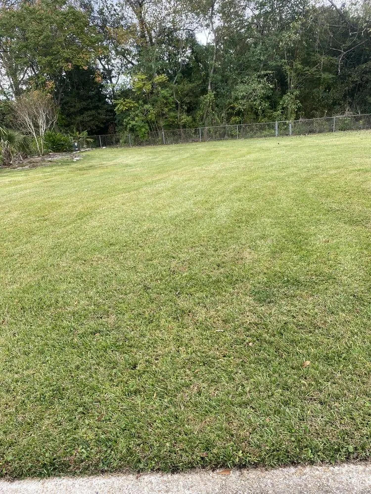 Custom yard cleanup service in Baton Rouge, LA by Francisco Landscaping