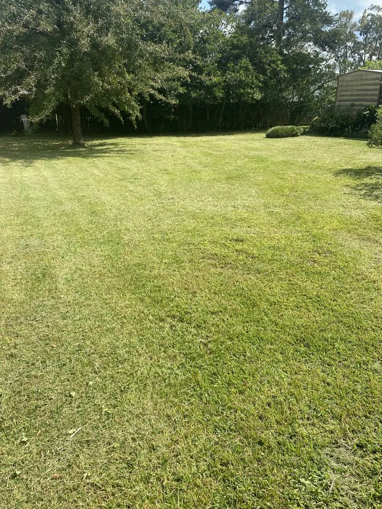 Expert lawn care service in Baton Rouge, LA by Francisco Landscaping