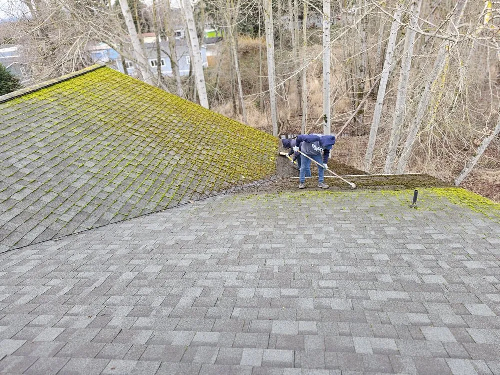 Reliable outdoor landscaping in Bellingham, WA by Francisco Landscaping