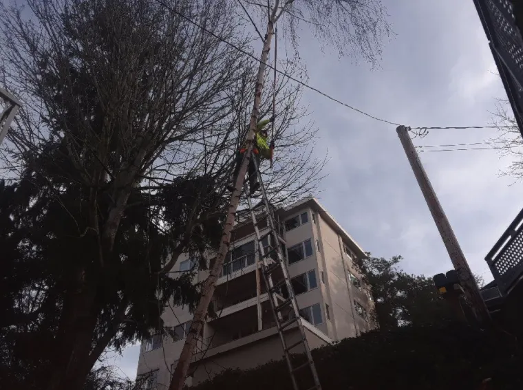 Custom landscape design in Bellingham, WA - Francisco Landscaping