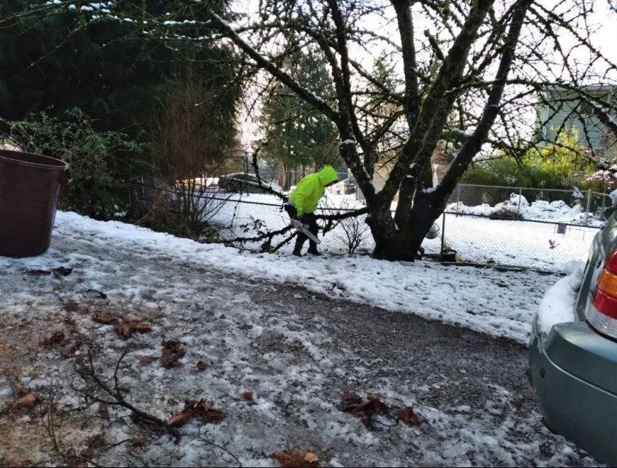 Professional landscape installation in Bellingham, WA - Francisco Landscaping