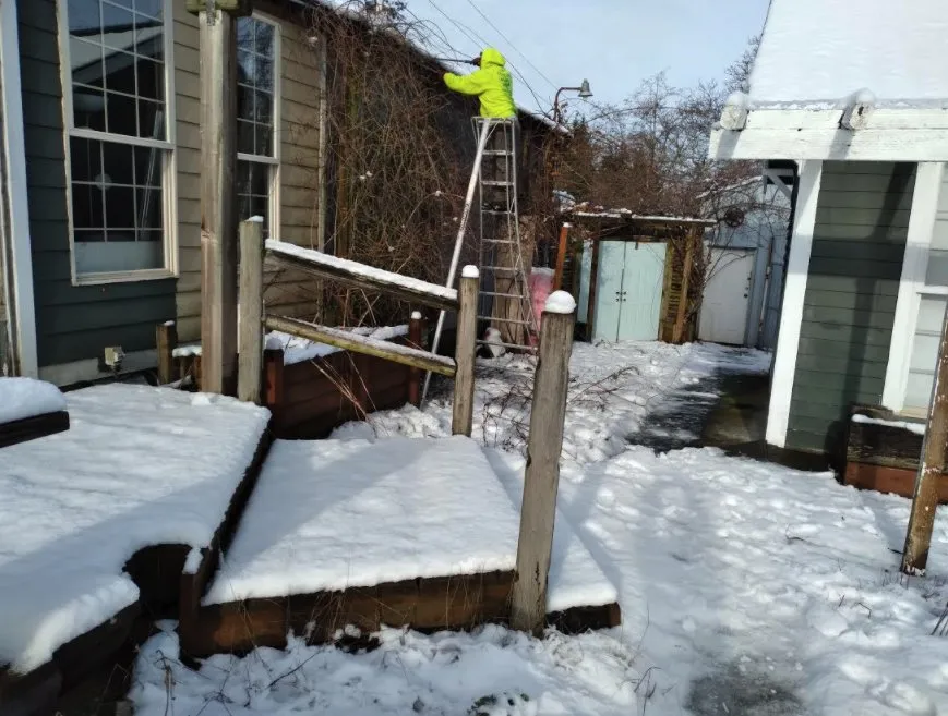 Local landscaping services for year-round maintenance across Bellingham, WA - Francisco Landscaping