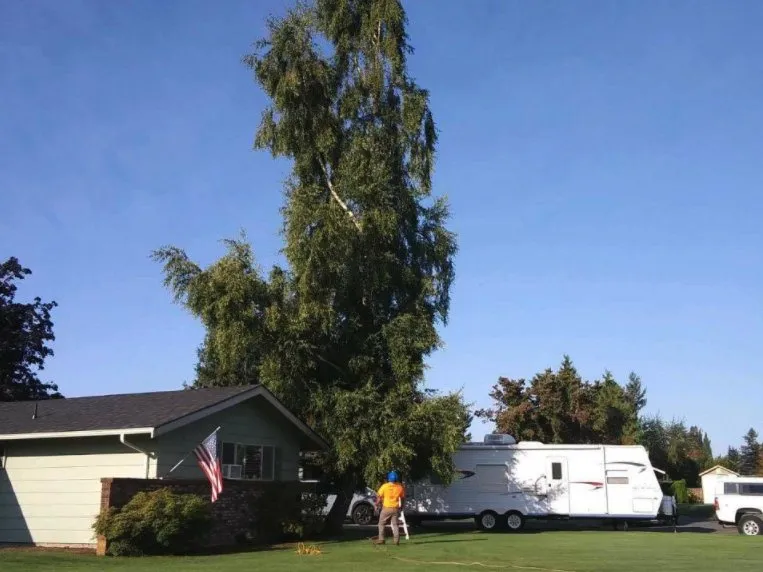 Top-rated landscaping services experts serving Bellingham, WA - Francisco Landscaping