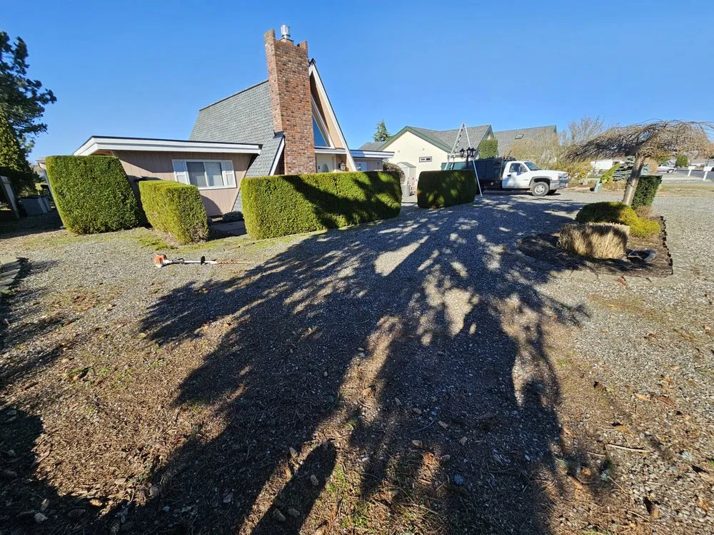 Local lawn care service for beautiful yards across Bellingham, WA - Francisco Landscaping