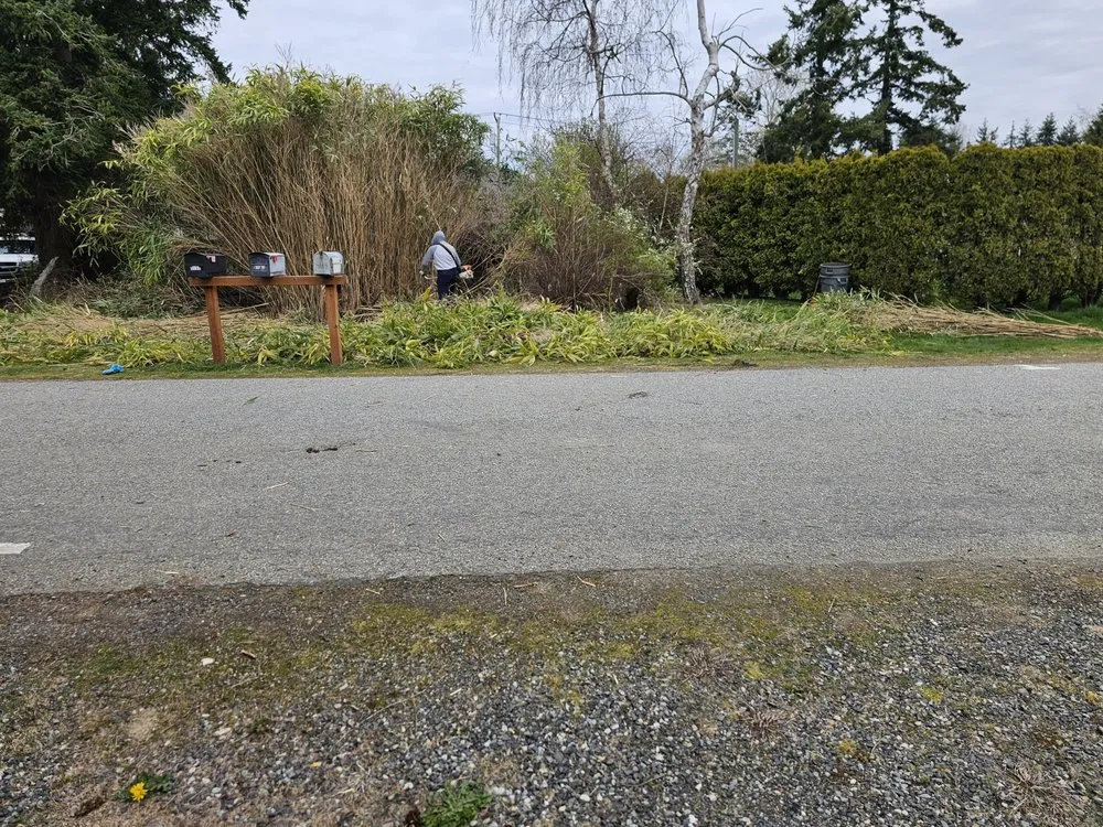 Custom yard cleanup service for homes across Bellingham, WA - Francisco Landscaping