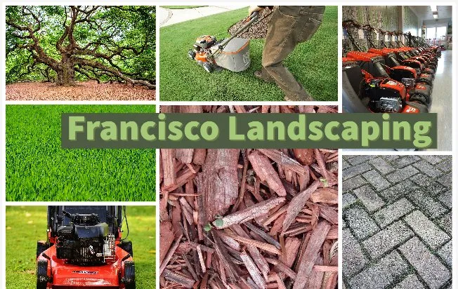 Top-rated residential landscaping for outdoor upgrades in Bluffton, SC by Francisco Landscaping