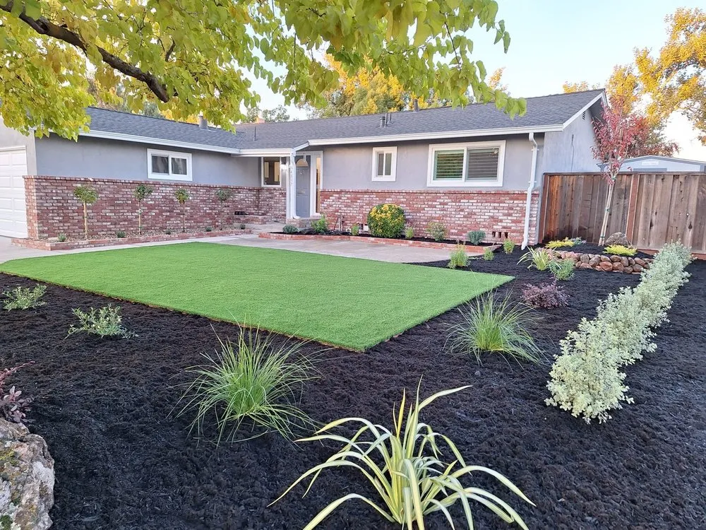 Expert landscape design in Concord, CA - Francisco landscaping
