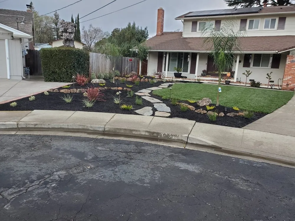 Professional landscape design in Concord, CA - Francisco landscaping