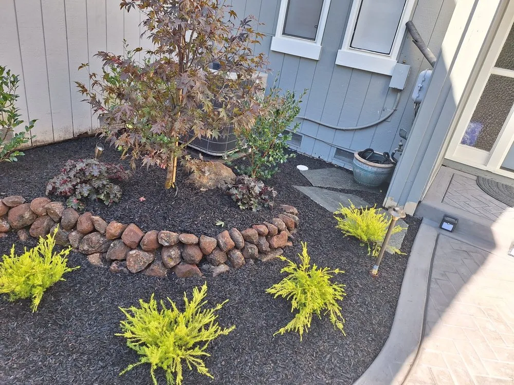 Professional lawn mowing service experts serving Concord, CA - Francisco landscaping