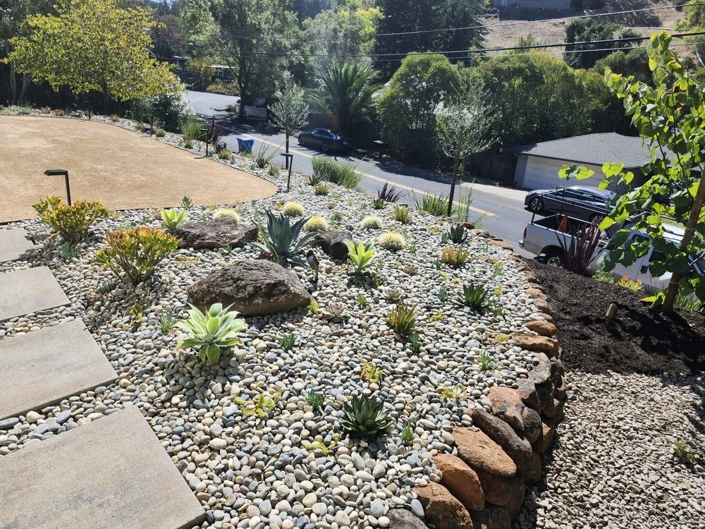 Affordable landscaping services in Concord, CA by Francisco landscaping