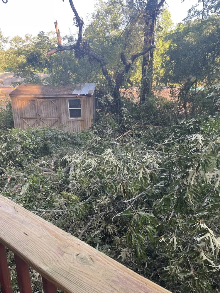 Expert landscape design experts serving Cottondale, AL - Francisco Landscaping