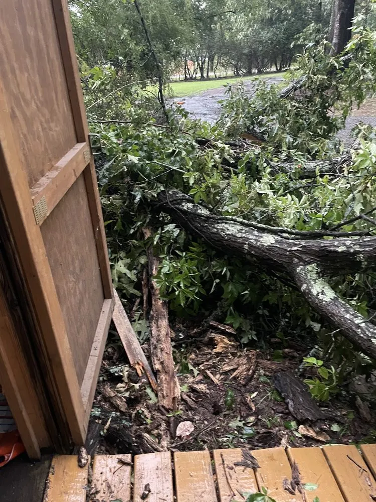 Affordable landscape installation in Cottondale, AL - Francisco Landscaping