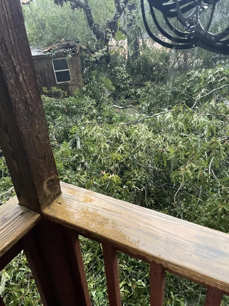 Local outdoor landscaping in Cottondale, AL - Francisco Landscaping