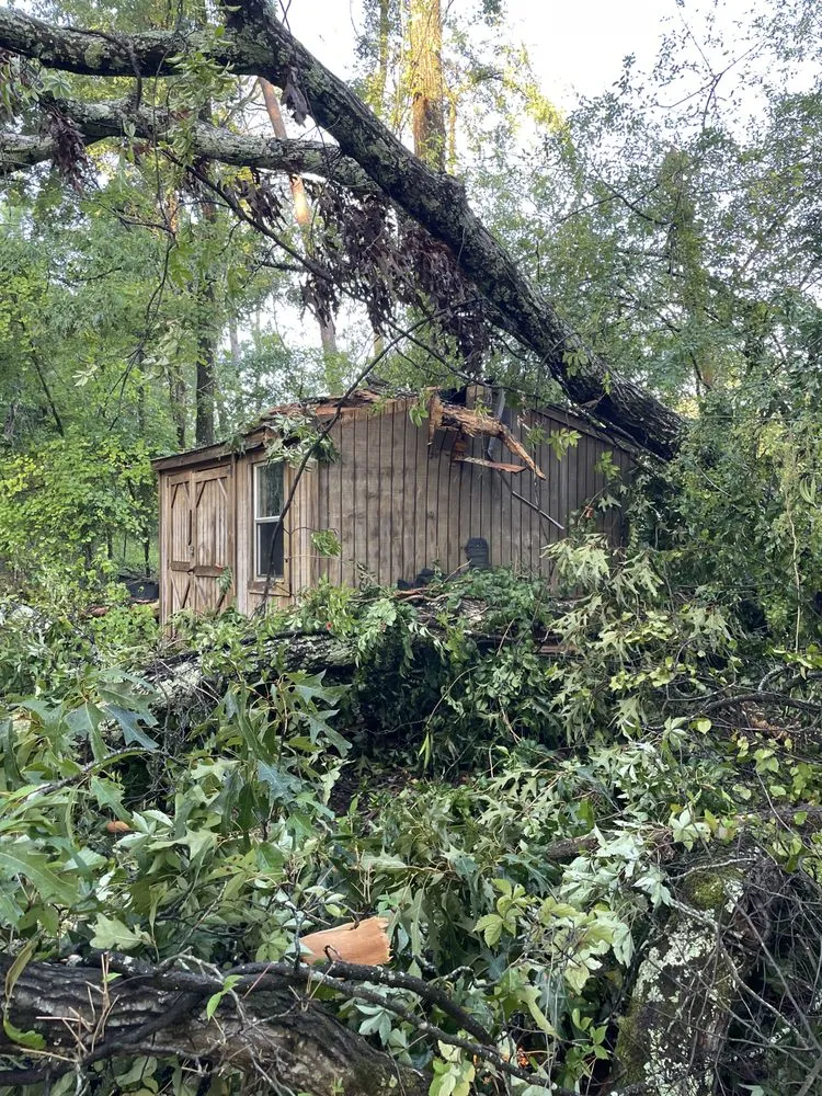 Affordable landscape design near you across Cottondale, AL - Francisco Landscaping