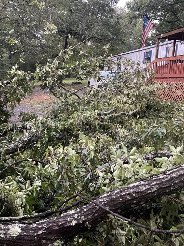 Reliable lawn care service with custom design across Cottondale, AL - Francisco Landscaping