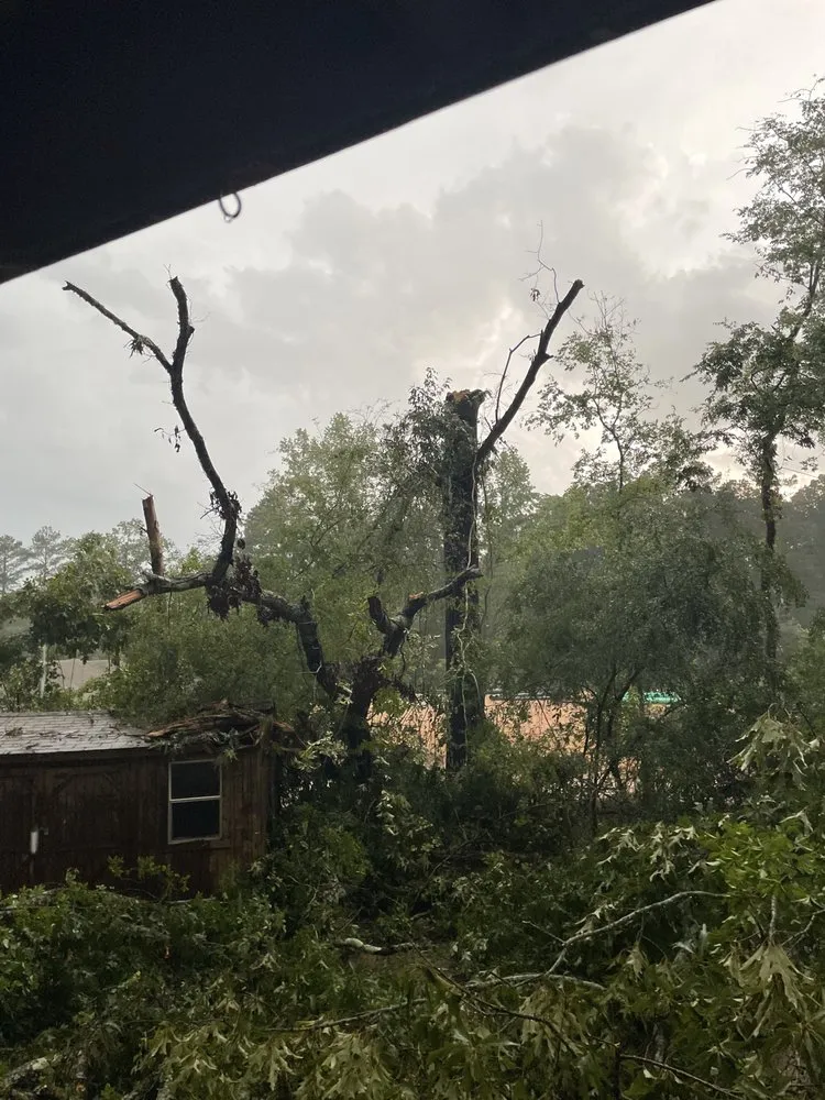 Top-rated lawn care service in Cottondale, AL by Francisco Landscaping