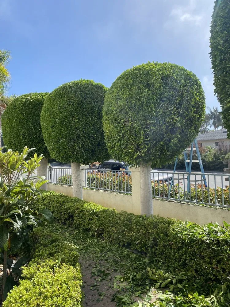 Professional landscape design experts serving Escondido, CA - Francisco Landscaping