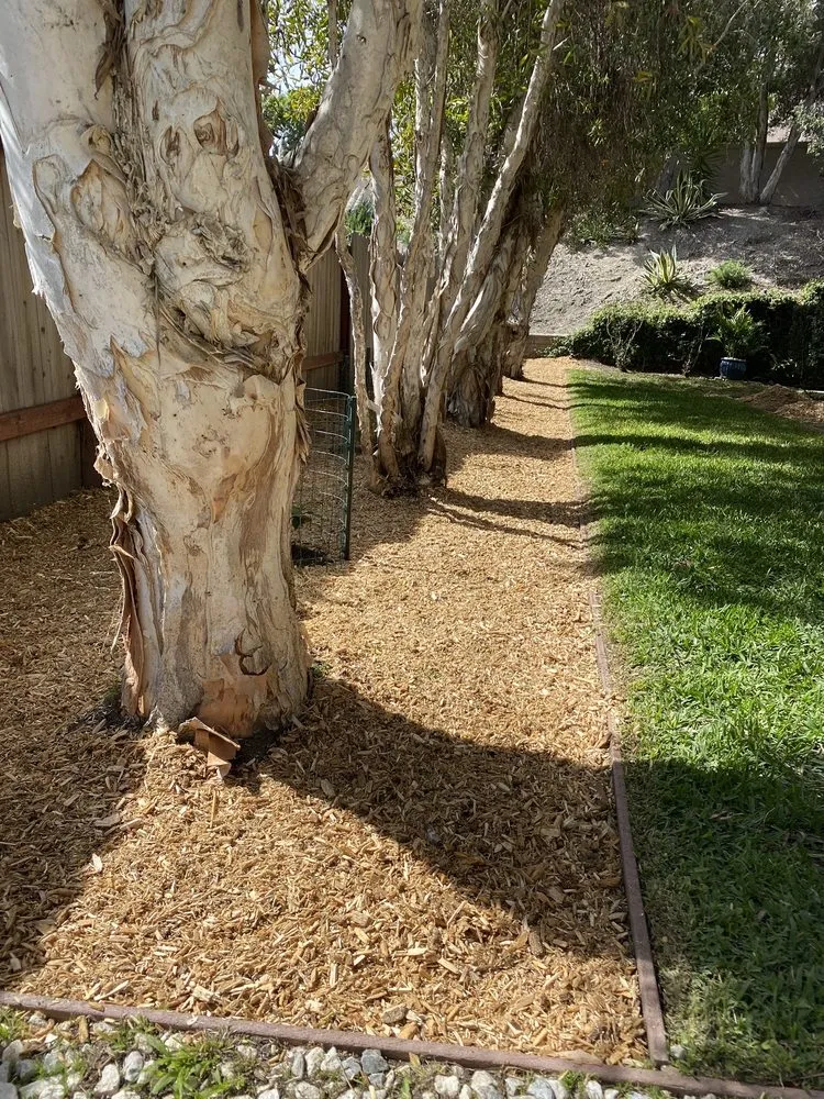 Reliable residential landscaping in Escondido, CA - Francisco Landscaping