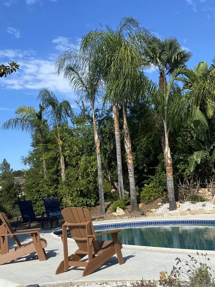 Professional outdoor landscaping for beautiful yards in Escondido, CA by Francisco Landscaping