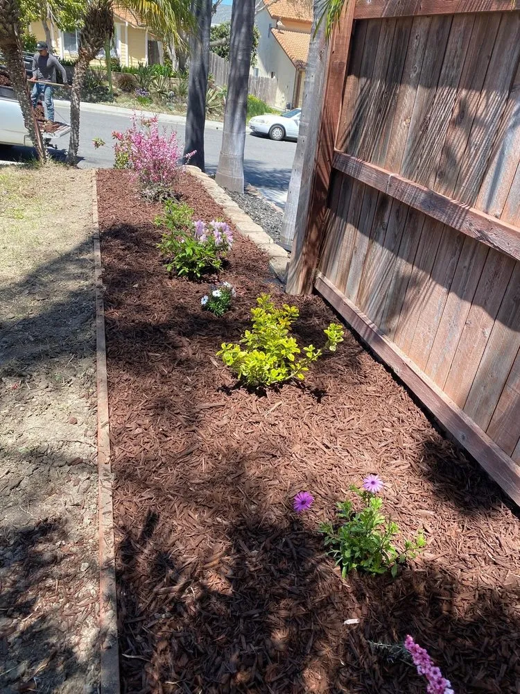 Trusted residential landscaping for beautiful yards in Escondido, CA by Francisco Landscaping