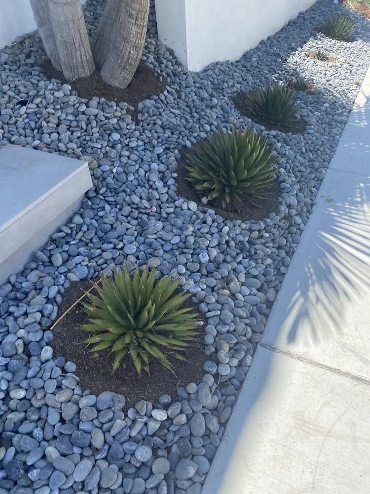 Trusted residential landscaping for outdoor upgrades across Escondido, CA - Francisco Landscaping