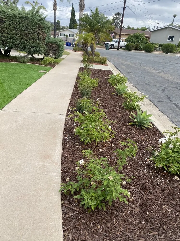 Custom landscape design experts serving Escondido, CA - Francisco Landscaping