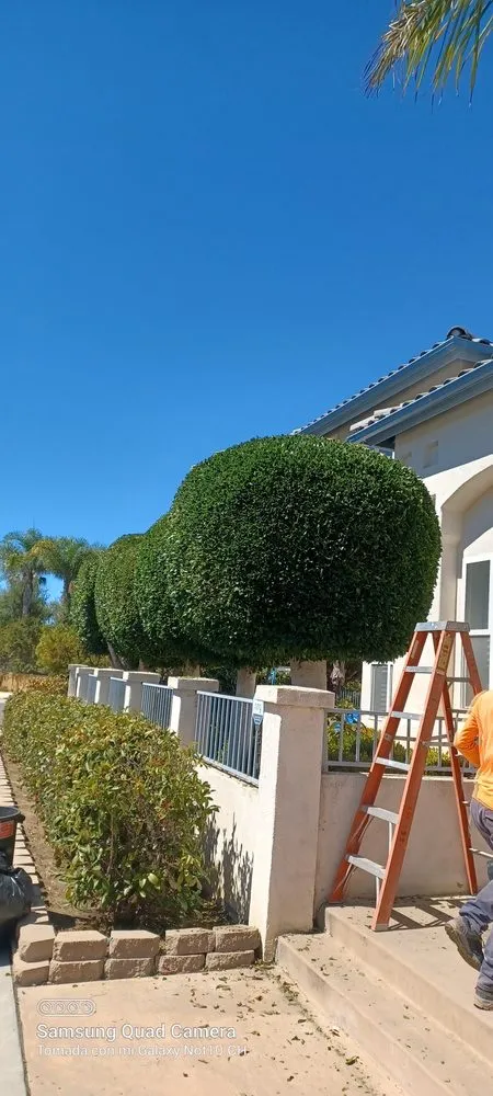 Affordable garden landscaping experts serving Escondido, CA - Francisco Landscaping