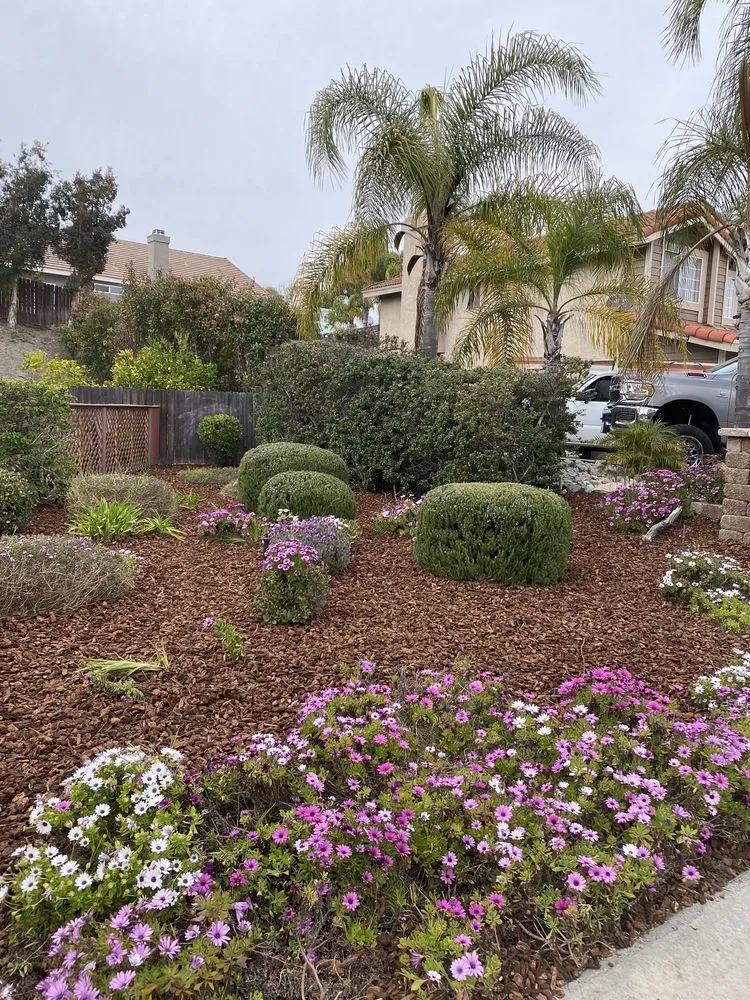 Custom lawn mowing service experts serving Escondido, CA - Francisco Landscaping