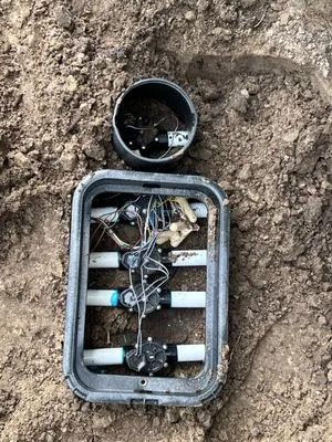 Francisco Landscaping