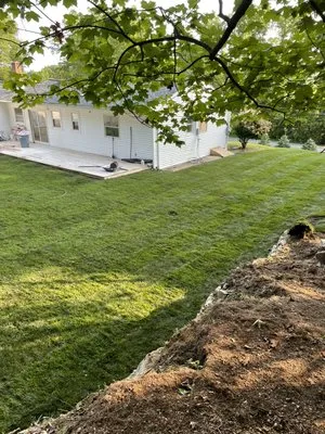 Francisco Landscaping