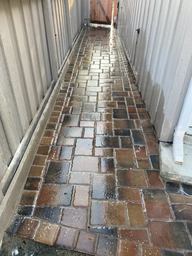 Trusted residential landscaping experts serving San Mateo, CA - Francisco Landscaping