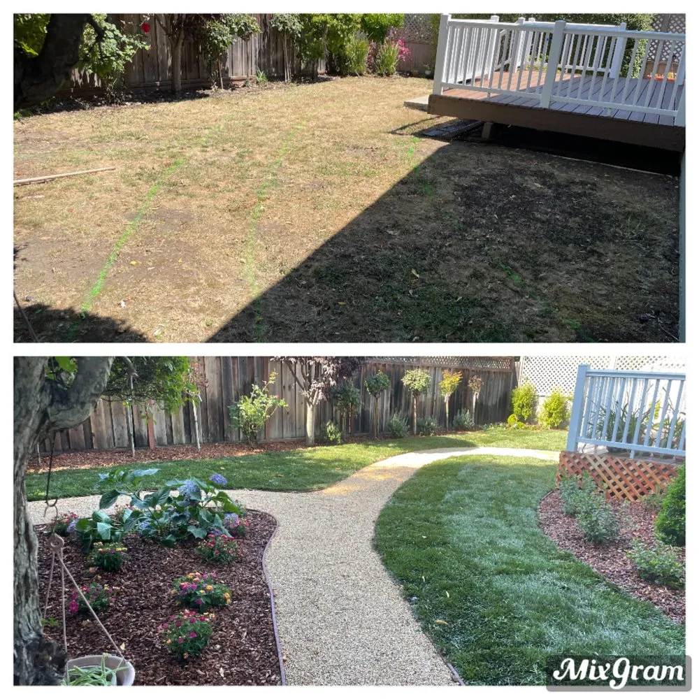 Affordable landscape design in San Mateo, CA - Francisco Landscaping