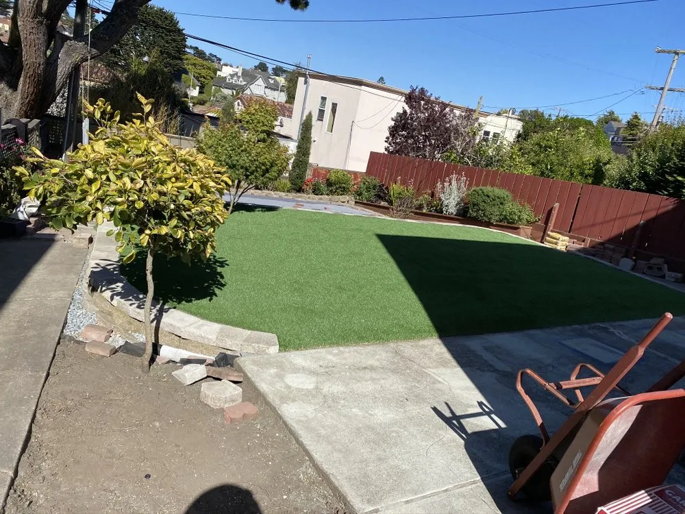 Custom yard cleanup service experts serving San Mateo, CA - Francisco Landscaping