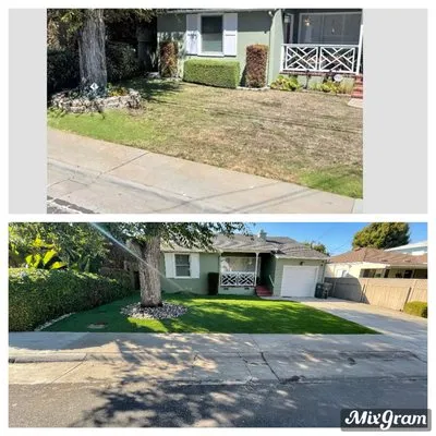 Francisco Landscaping Logo