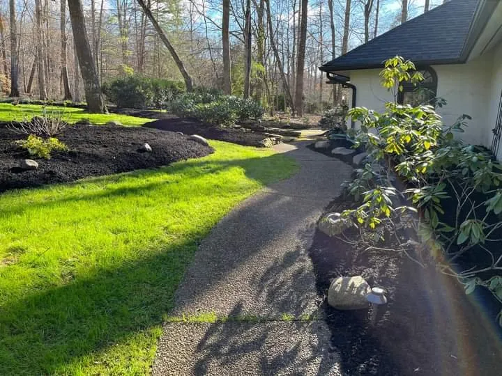 Affordable lawn care service in Knoxville, TN by Francisco Landscaping Service