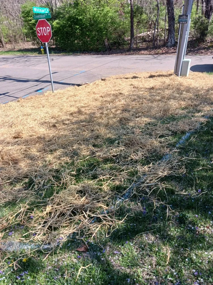 Local yard cleanup service for outdoor upgrades across Knoxville, TN - Francisco Landscaping Service