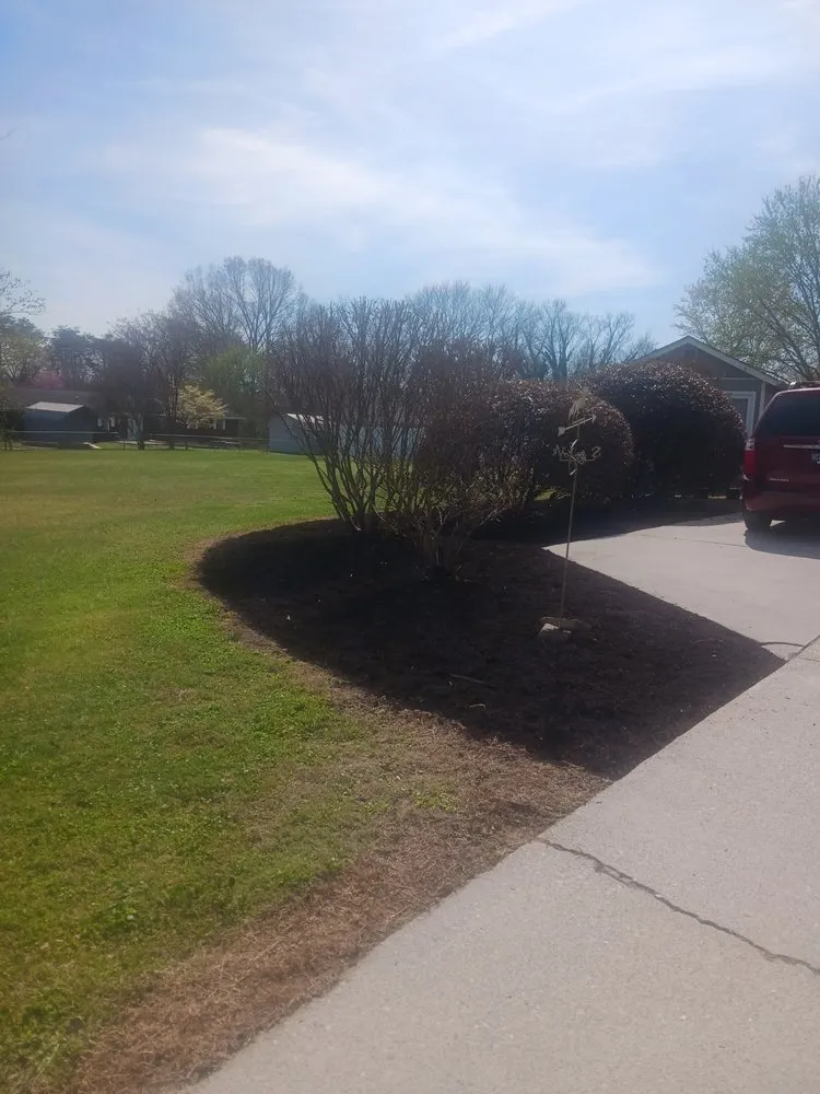 Reliable landscape installation for outdoor upgrades across Knoxville, TN - Francisco Landscaping Service