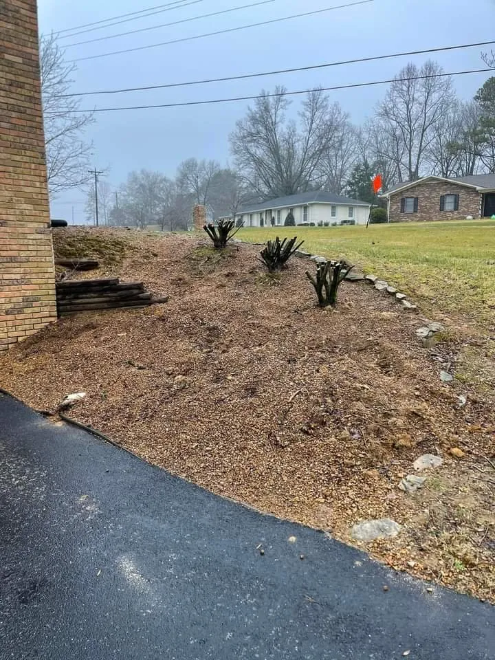 Affordable landscape installation for year-round maintenance in Knoxville, TN by Francisco Landscaping Service