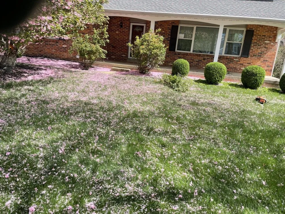 Expert landscape design with custom design in Wilmington, DE by Francisco Landscaping