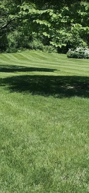 Expert yard cleanup service in Wilmington, DE by Francisco Landscaping