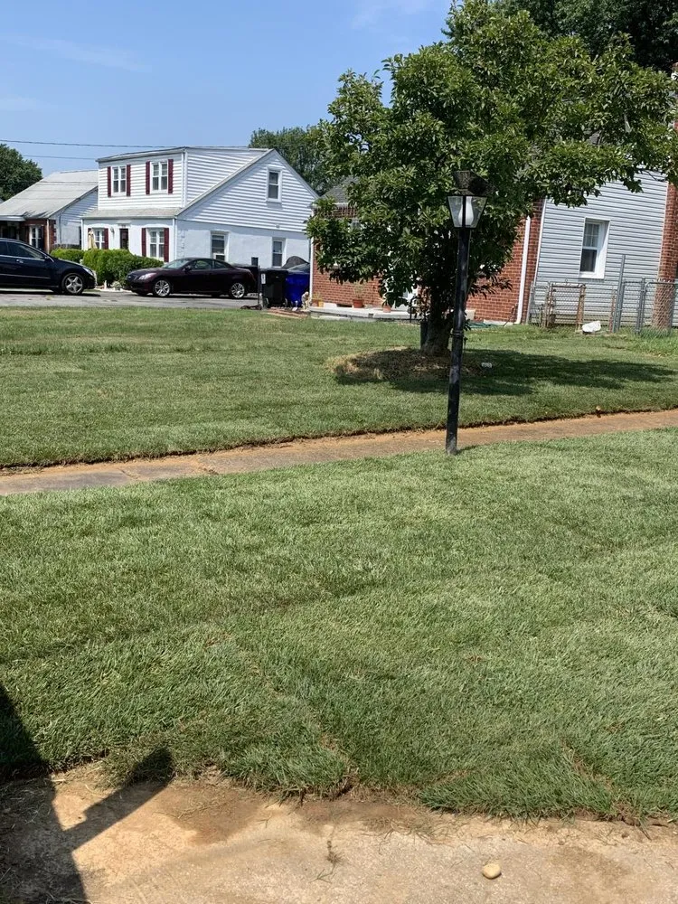 Custom yard cleanup service in Wilmington, DE by Francisco Landscaping