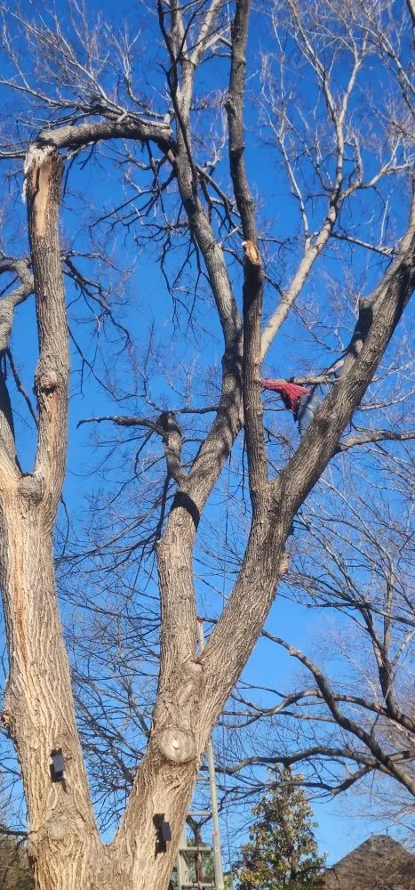 Custom residential landscaping experts serving Grapevine, TX - Francisco Lawn Service