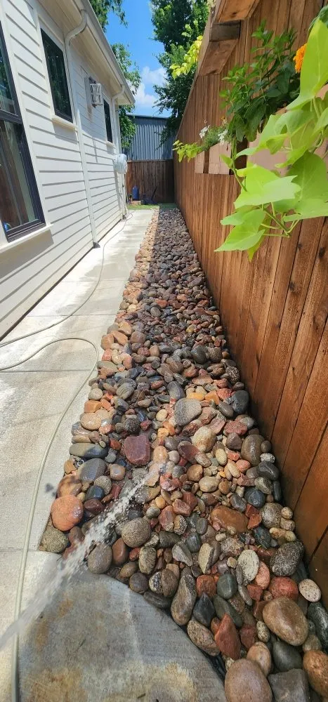 Top-rated yard cleanup service experts serving Grapevine, TX - Francisco Lawn Service